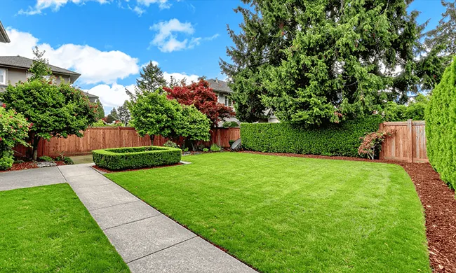professional-landscaping-lawn-care-walkway-central-mass.webp" alt="Professional landscaping featuring a manicured lawn, clean concrete walkway, and strategic planting in Central Mass